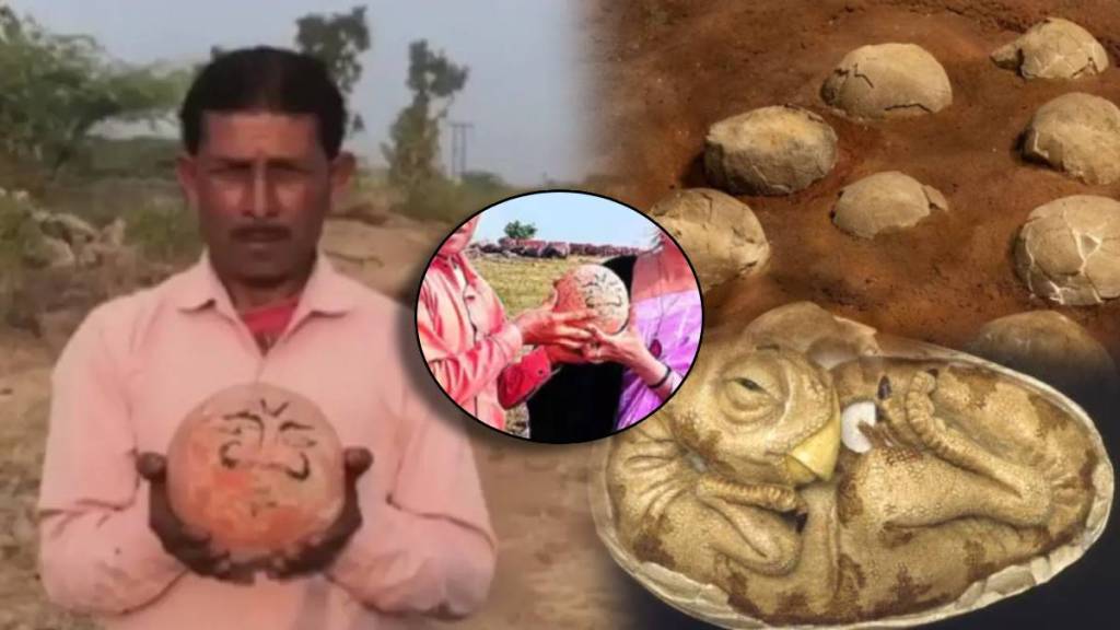 Rocks Worshipped As Kuldevtas In Madhya Pradesh Are Dinosaur Eggs How Expert Found Massive Creature Egg Shocking Revelation