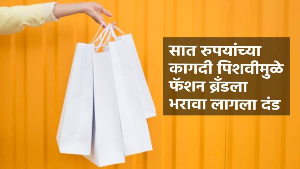 Delhi consumer commission imposes Rs 3000 fine on lifestyle brand for charging Rs 7 for paper carry bag