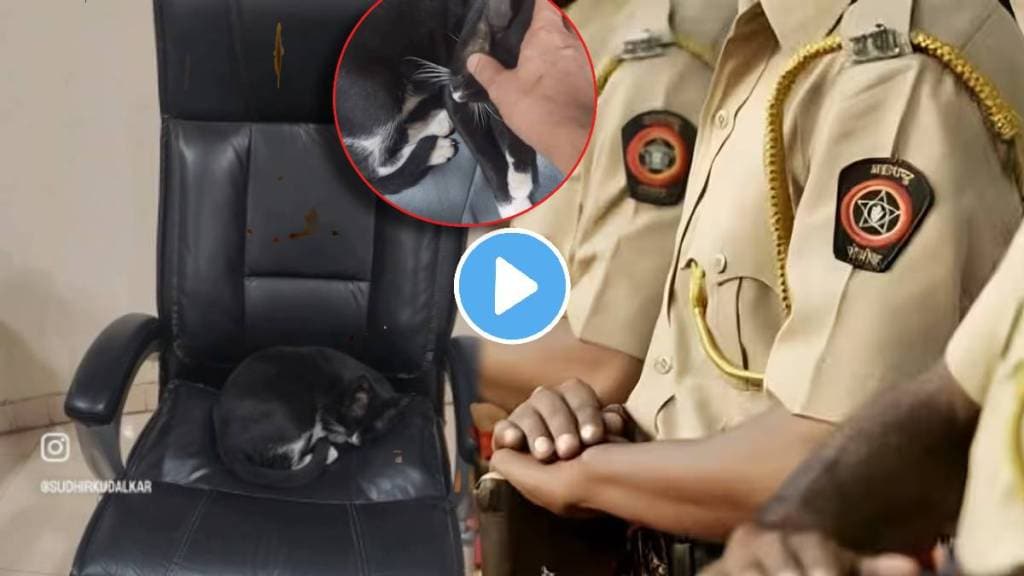 cat sleeping on senior inspector chair refuses to leave mumbai police shares video