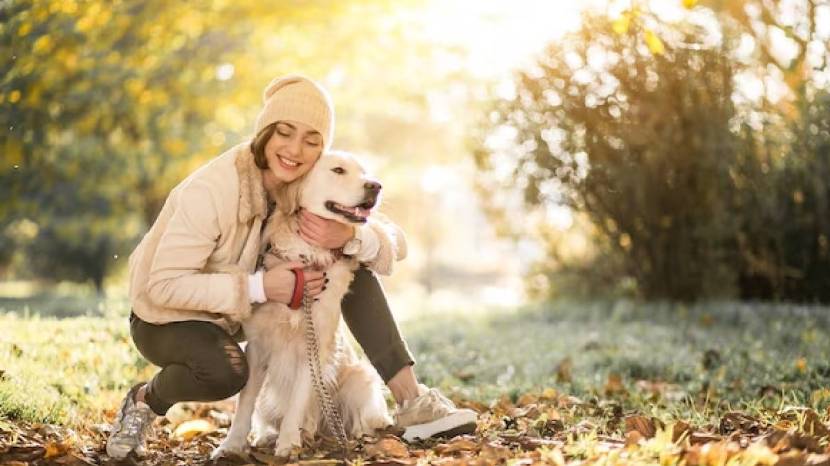 Pet Care Tips How To Take Proper Care To Your favourite Pets In Winter 