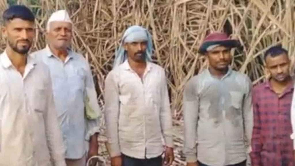 Sugarcane labourers in Maharashtra