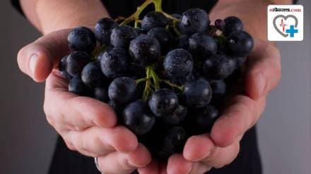 Nutrition alert Heres what a 100 gram serving of black grapes contains Health Benefits of Black Grapes