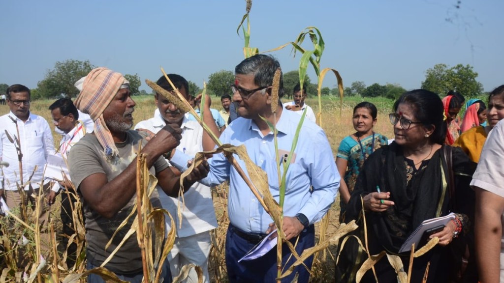 team of central government, inspected drought like situation,