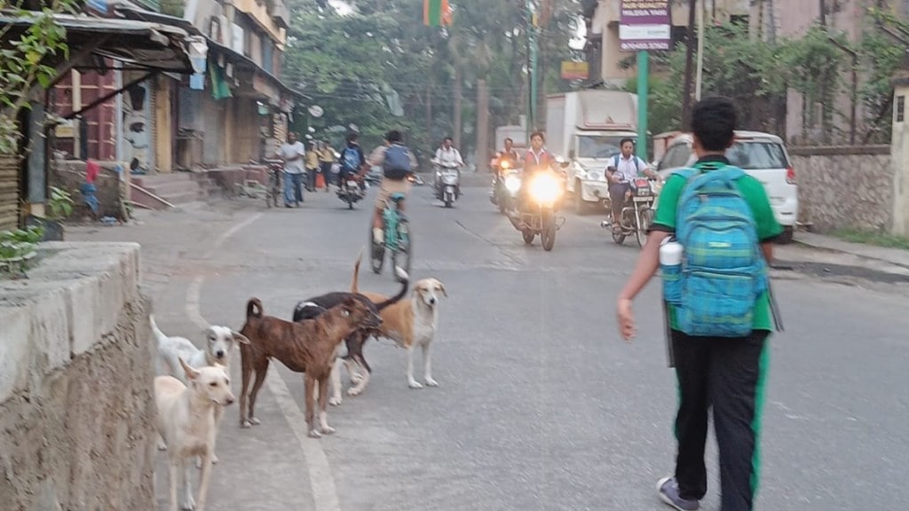 stray dogs in uran, stray dogs increased in uran