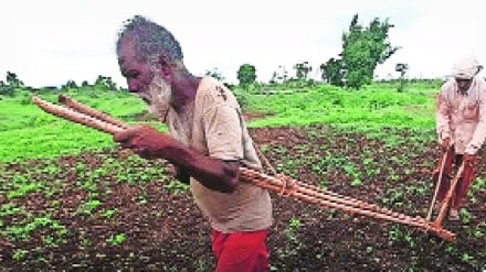 Advance crop insurance amount has started to be deposited in the accounts of farmers across the state including Buldhana district