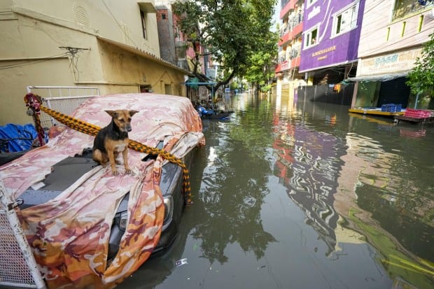 Cyclone michaung