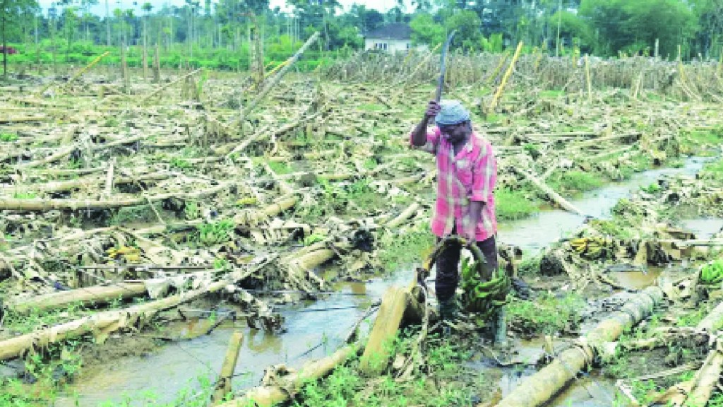 It was also announced that Nanded district is drought and agricultural production has reduced by 50 percent