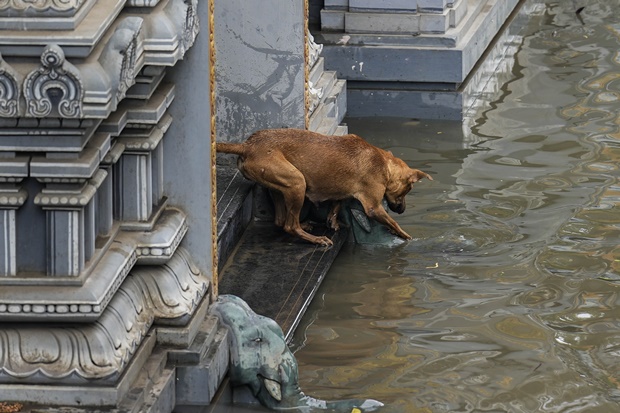 chennai rains, Cyclone Michaung, indian express