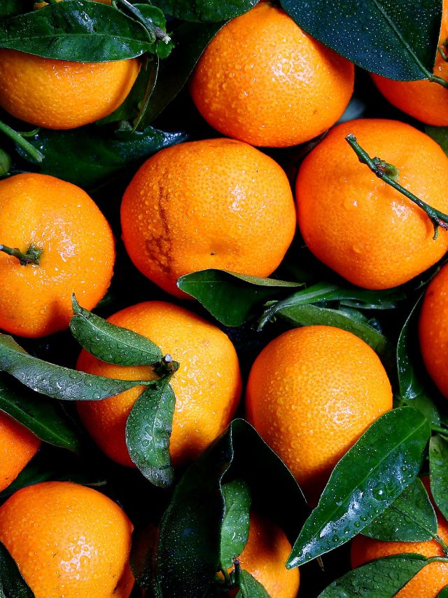 can we eat orange in winter orange benefits health tips gujarati news