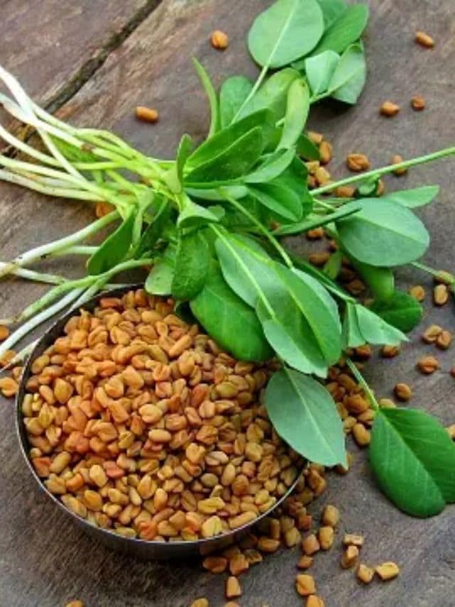 fenugreek leaves benefits health tips gujarati news