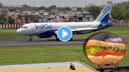 worm in sandwich, IndiGo passenger