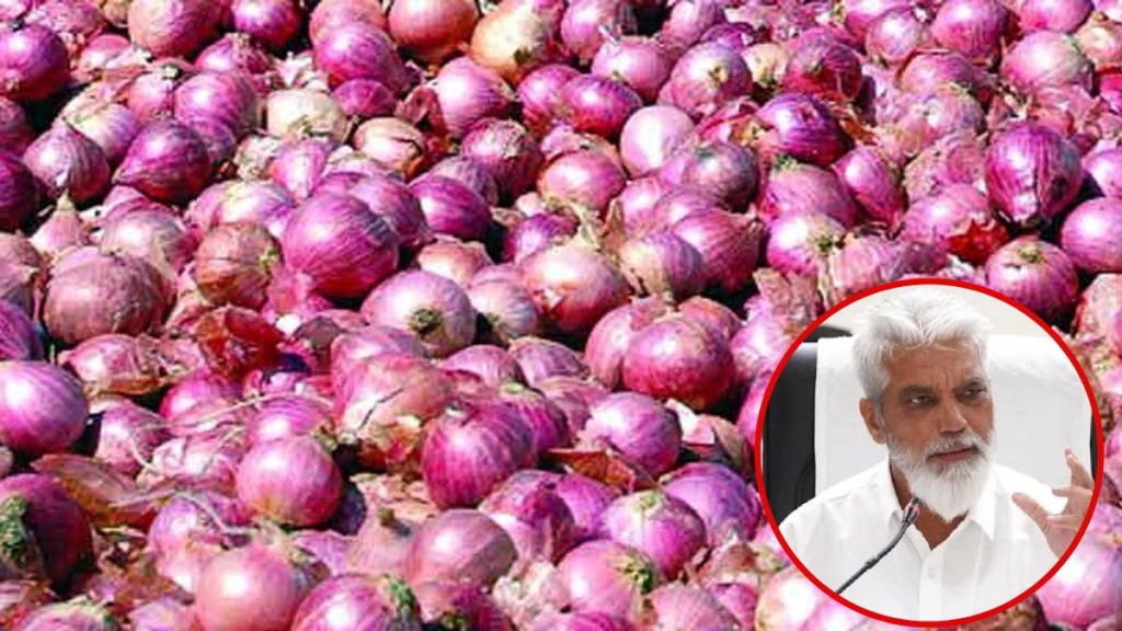 will meet senior leader central leaders for Onion export ban issue promise by Dada Bhuse