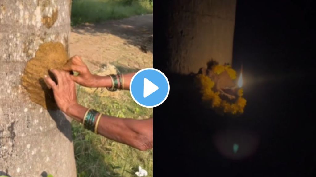 a unique way of lighting diyas on tree in villages