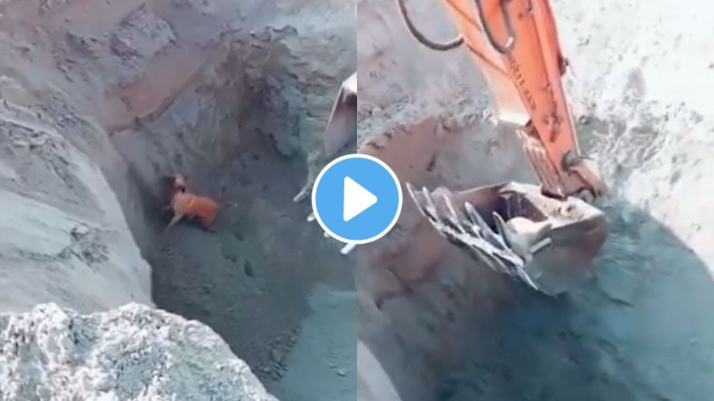 Excavator saves dog with the help of jcb after as dog falls in a pit