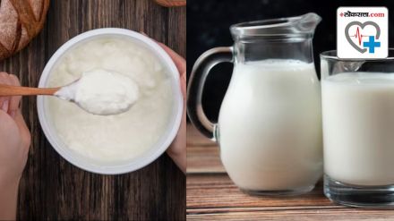 Buttermilk or Curd