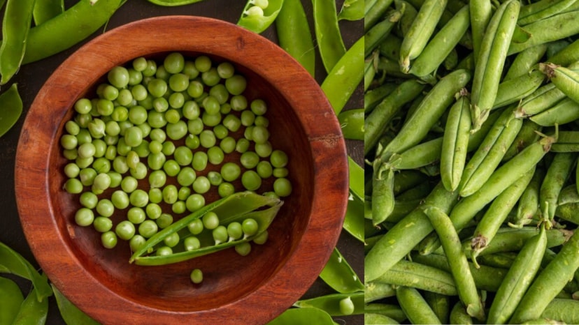 How to Store green peas, 