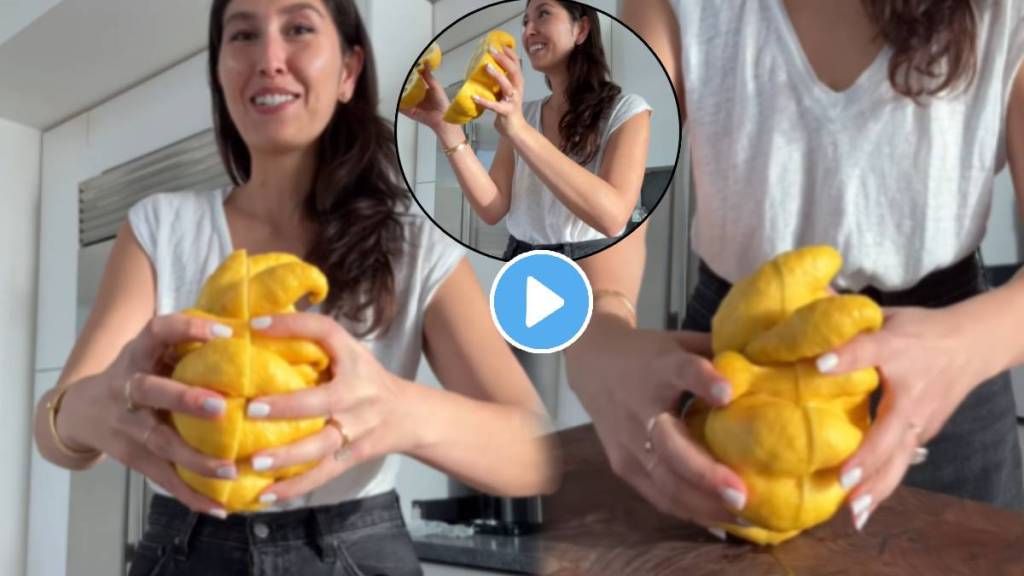 Devil Lemon Cut With Tons Of Lemons Inside 25 Million People Got Scared Looking at Weird Fruit Grown in Tree Watch video