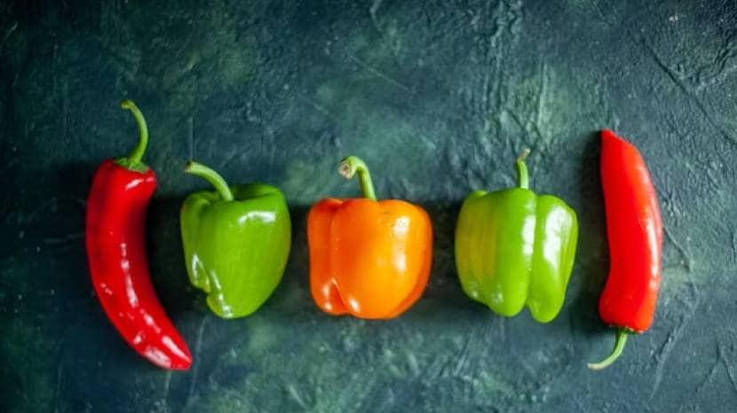 Red Vs Green Vs Yellow Bell Pepper Which Is Better