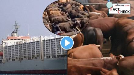 Indian Ship Carrying Cows For Lynching Captured by Houthi Says Viral Post Dangerous Claim Fact Check Reality Is Different