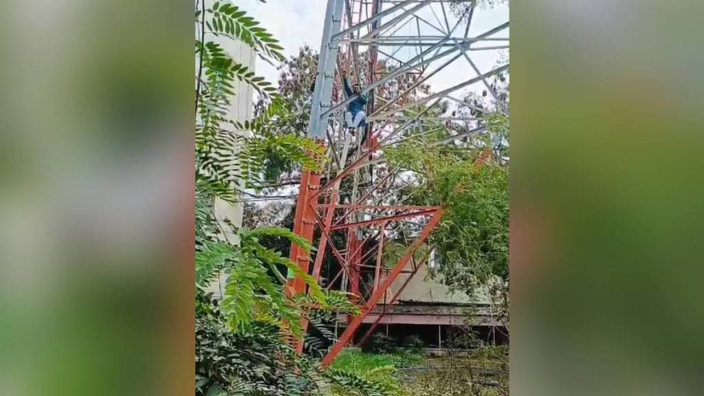 persons climbed BSNL tower