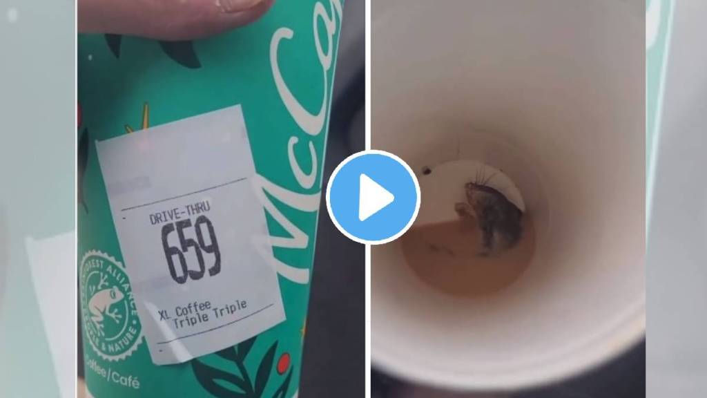 Dead Mouse Found in McDonalds coffee