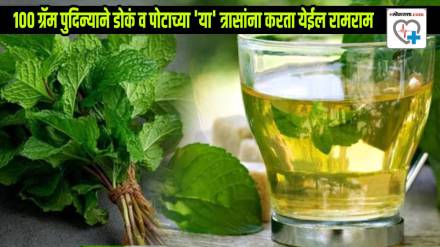 Pudina Detox 100-gram of peppermint leaves Helps To Release Nerves Digestion Doctor Explains Nutrition Calories In Pudina Leaves