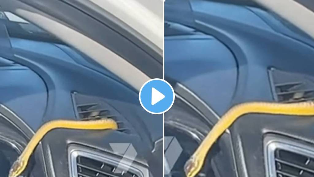 On A Family Road Trip Snake Crawls Out Of Cars air conditioner vent Scarry Video Viral