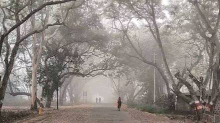 cold weather Maharashtra