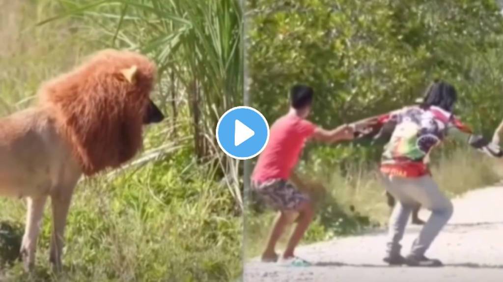 video viral dog look like lion and follow man people shocked and runaway viral video