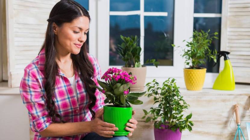 Five Balcony Garden Tips Make your relaxing time more special now Give the that attractive look 