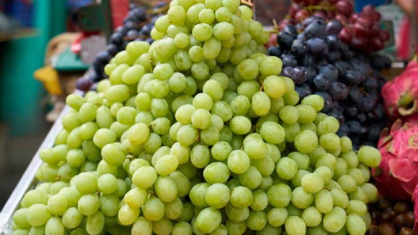 Seven Healthy Reasons To Eat Grapes Regularly It contains many important vitamins and minerals 