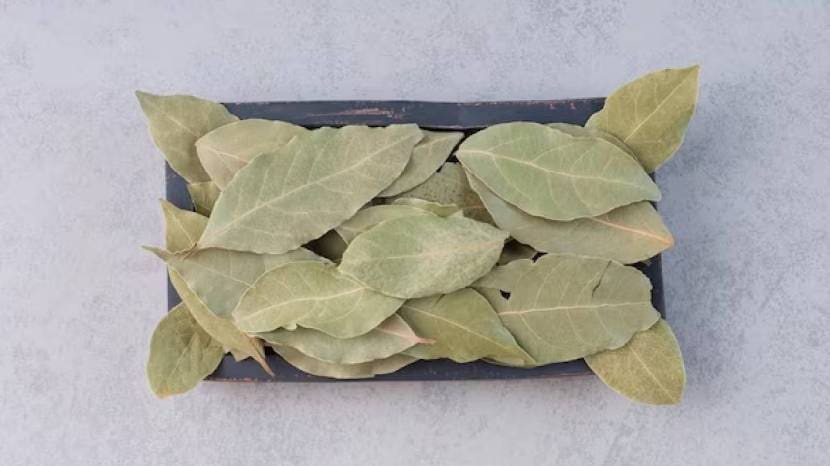 Drink Bay Leaf Water Daily And You Will Get Many Health Benefits 