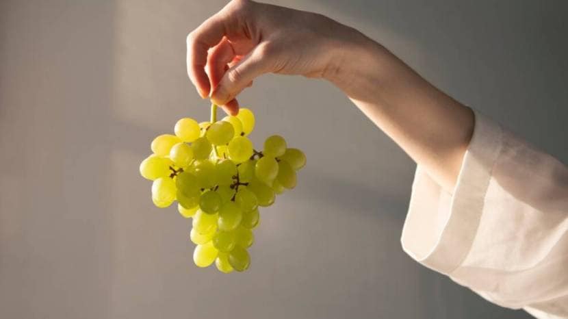 Seven Healthy Reasons To Eat Grapes Regularly It contains many important vitamins and minerals 