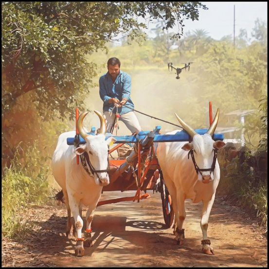 Priyadarshini Indalkar Kshitish Date Navardev Bsc Agri