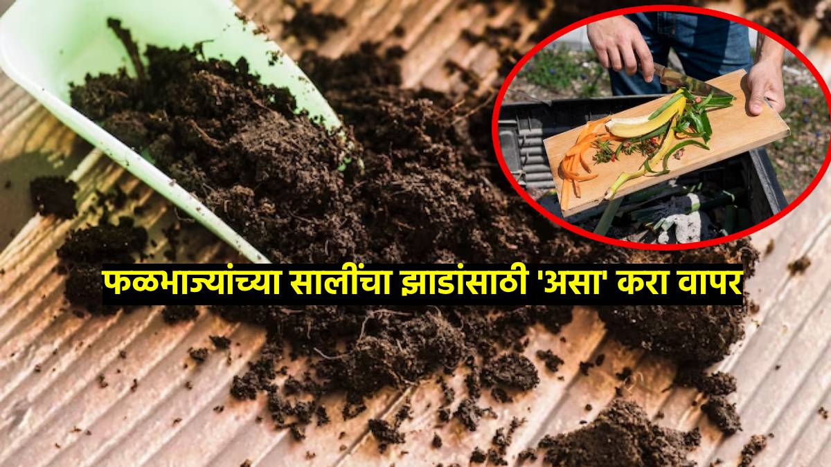 Tips To Make Compost At Home 