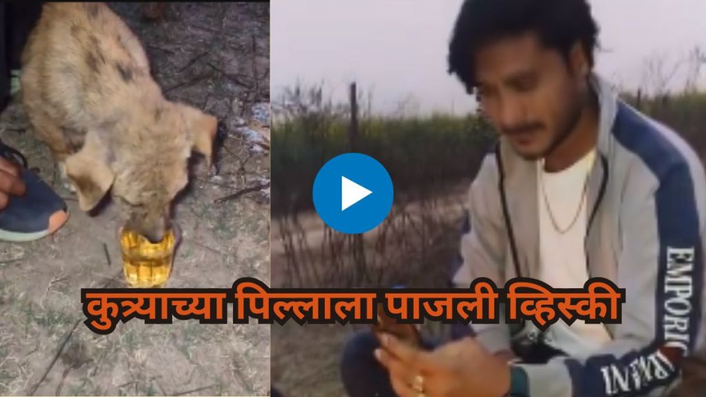 Video Puppy Made To Drink Whiskey In Rajasthan Viral Post Sparks Outrage