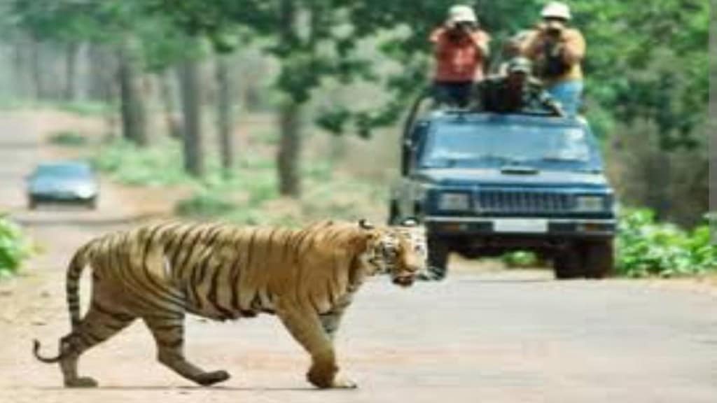 change in tourist vehicle Tadoba