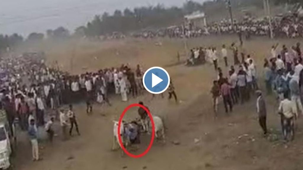 In Shankarpat out-of-control bullock cart blew an old man video viral