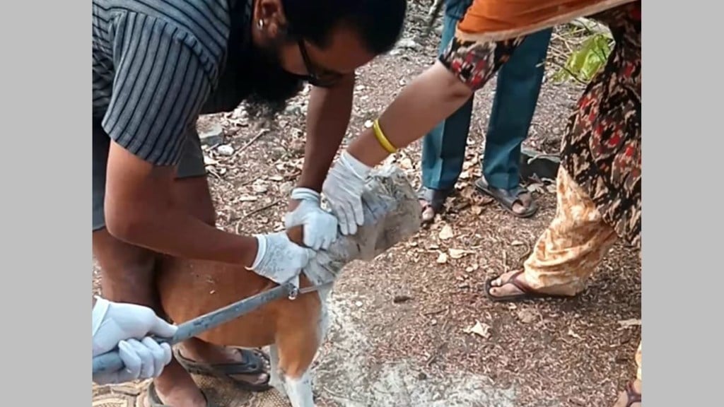 wardha dog news in marathi, wardha dog rescued after 26 days news in marathi