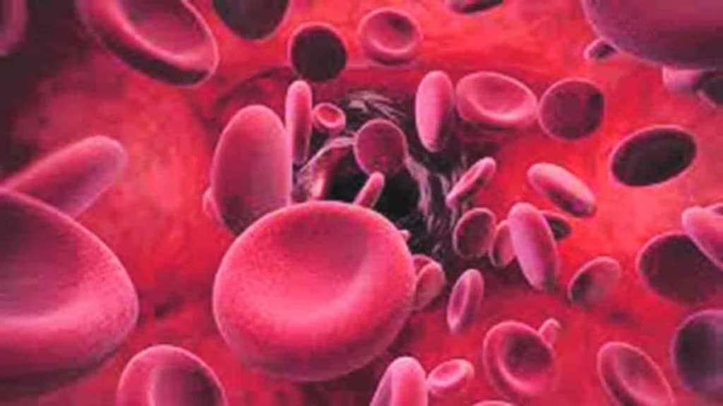 sickle cell anemia mumbai marathi news, sickle cell anemia maharashtra news