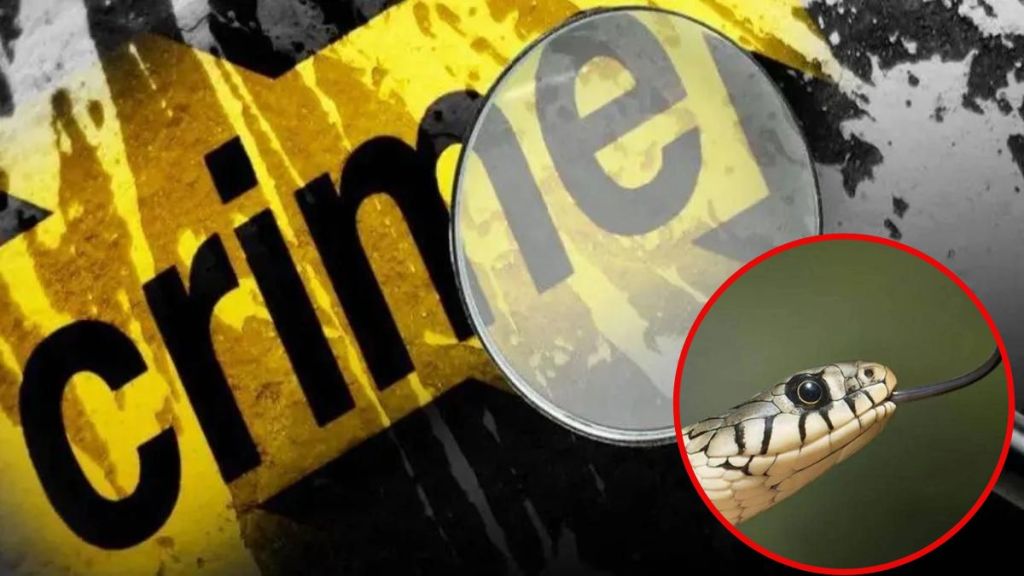 women tried to kill husband by leaving a snake bite