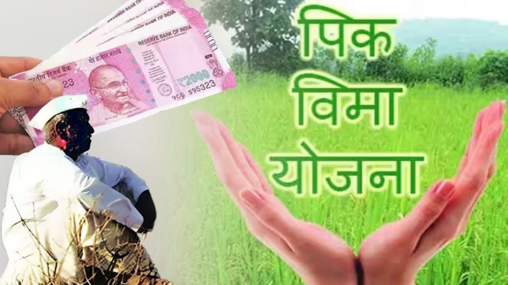 Insurance companys account sealed for 294 crore crop insurance