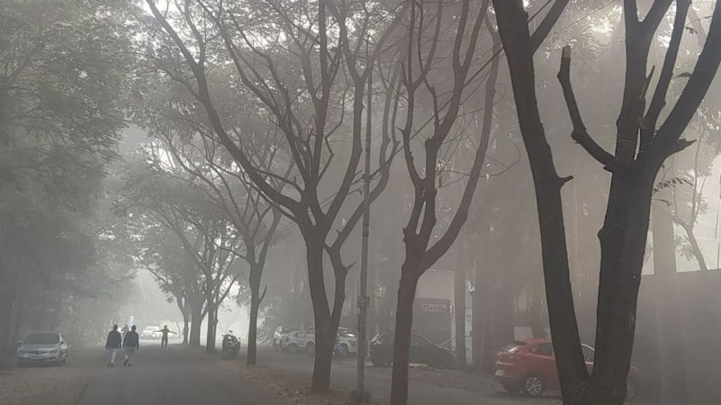 winter has disappeared from Nashik there is fog in the city and rural areas