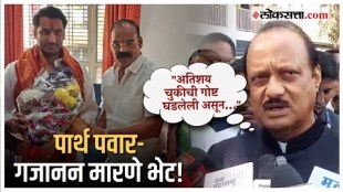 Ajit Pawar On Parth Pawar and gangster Gajanan Marne Meet