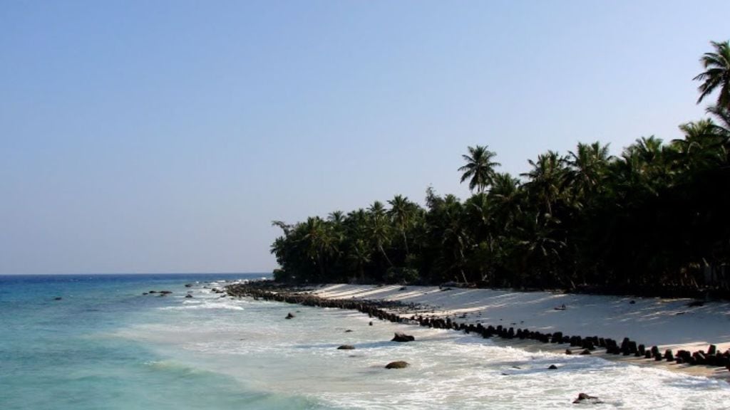 Lakshadweep 8 profitable business opportunities tips gujarati news