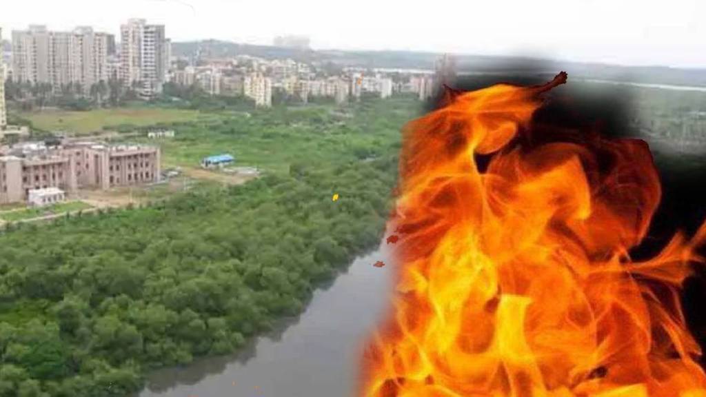 fire in mangrove area in charkop