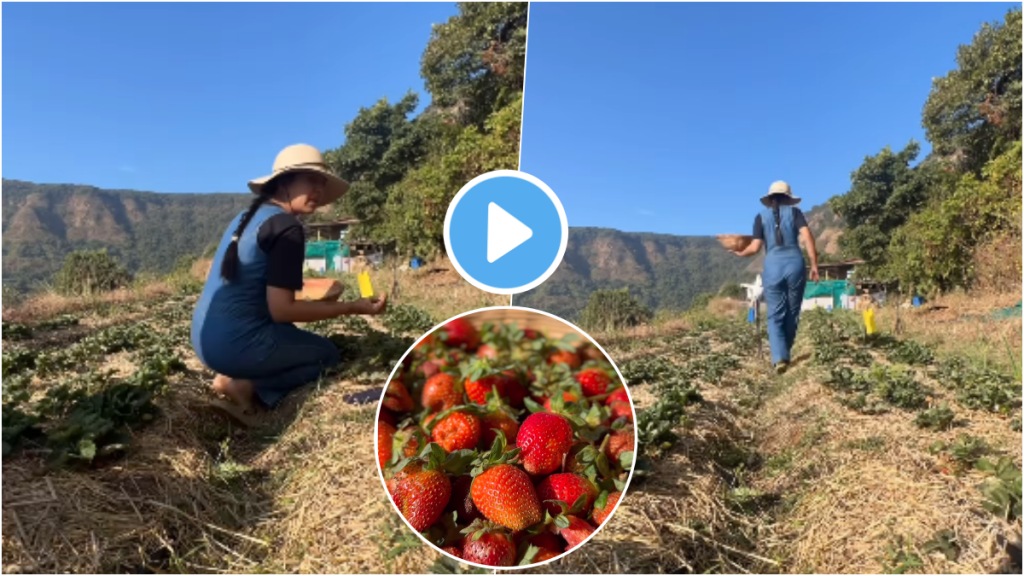 mrunmayee deshpande shares-a-video from her farm in mahabalwshwar