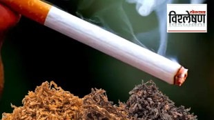 What are the reasons for the large decline in tobacco use worldwide