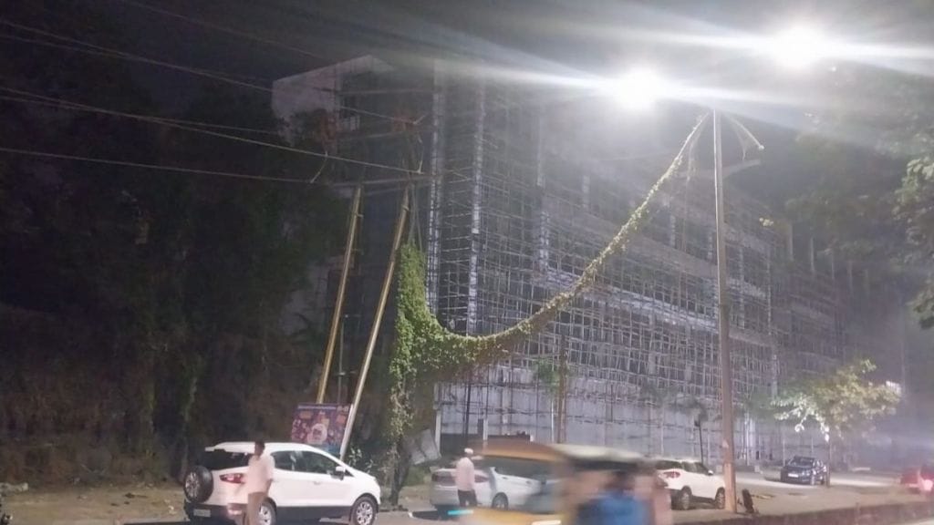 vines grow on high pressure power line of Mahavitran at Gharda Circle in Dombivli