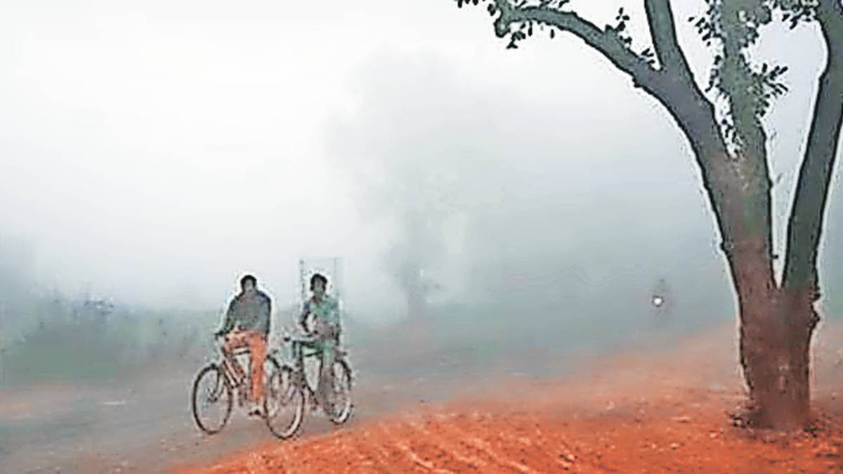 म्हणावी तशी थंडी नाही, कारण.. winter weather in maharashtra moderate